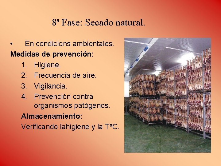 8ª Fase: Secado natural. • En condicions ambientales. Medidas de prevención: 1. Higiene. 2.
