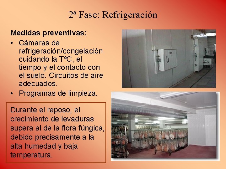 2ª Fase: Refrigeración Medidas preventivas: • Cámaras de refrigeración/congelación cuidando la TºC, el tiempo