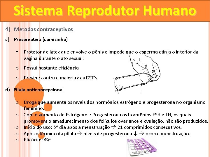 Sistema Reprodutor Humano 4) Métodos contraceptivos c) Preservativo (camisinha) § Protetor de látex que