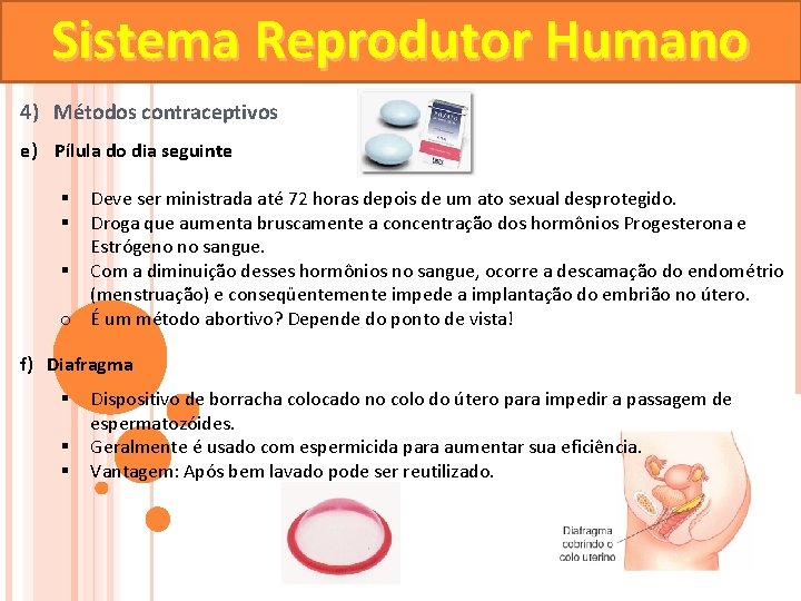 Sistema Reprodutor Humano 4) Métodos contraceptivos e) Pílula do dia seguinte Deve ser ministrada