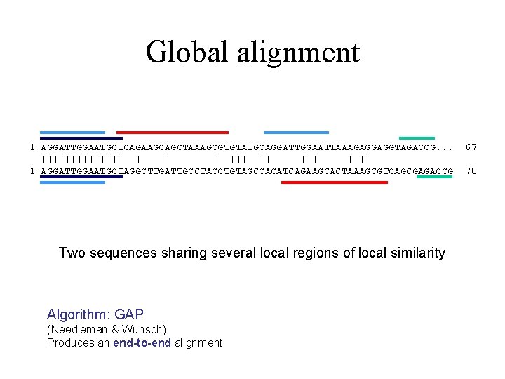 Global alignment 1 AGGATTGGAATGCTCAGAAGCAGCTAAAGCGTGTATGCAGGATTGGAATTAAAGAGGAGGTAGACCG. . . ||||||| || | || 1 AGGATTGGAATGCTAGGCTTGATTGCCTACCTGTAGCCACATCAGAAGCACTAAAGCGTCAGCGAGACCG Two sequences