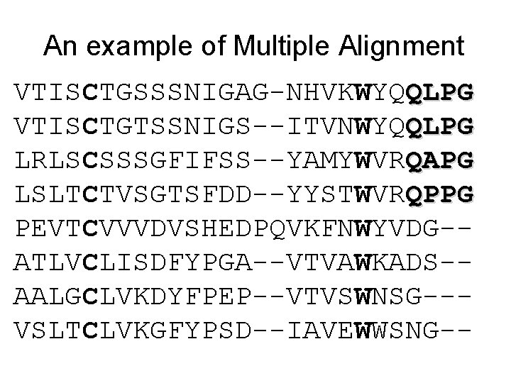 An example of Multiple Alignment VTISCTGSSSNIGAG-NHVKWYQQLPG VTISCTGTSSNIGS--ITVNWYQQLPG LRLSCSSSGFIFSS--YAMYWVRQAPG LSLTCTVSGTSFDD--YYSTWVRQPPG PEVTCVVVDVSHEDPQVKFNWYVDG-ATLVCLISDFYPGA--VTVAWKADS-AALGCLVKDYFPEP--VTVSWNSG--VSLTCLVKGFYPSD--IAVEWWSNG-- 