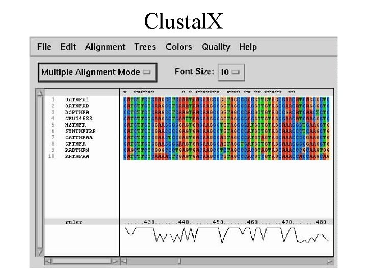 Clustal. X 