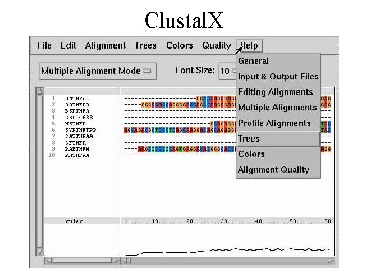 Clustal. X 