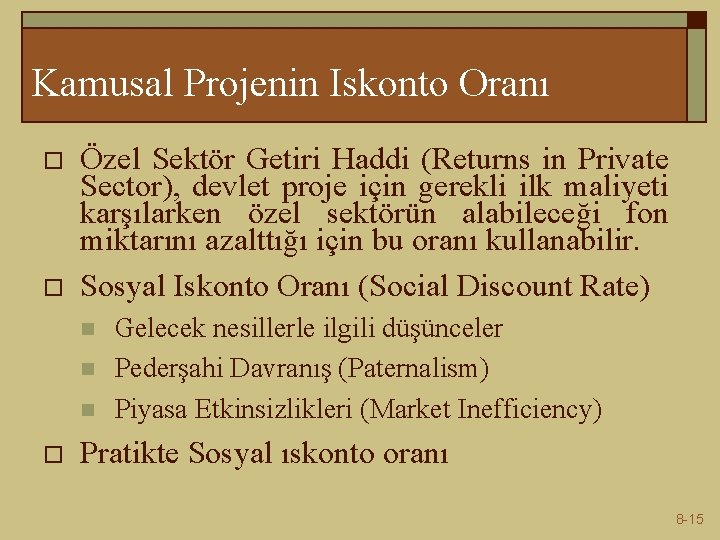 Kamusal Projenin Iskonto Oranı o o Özel Sektör Getiri Haddi (Returns in Private Sector),