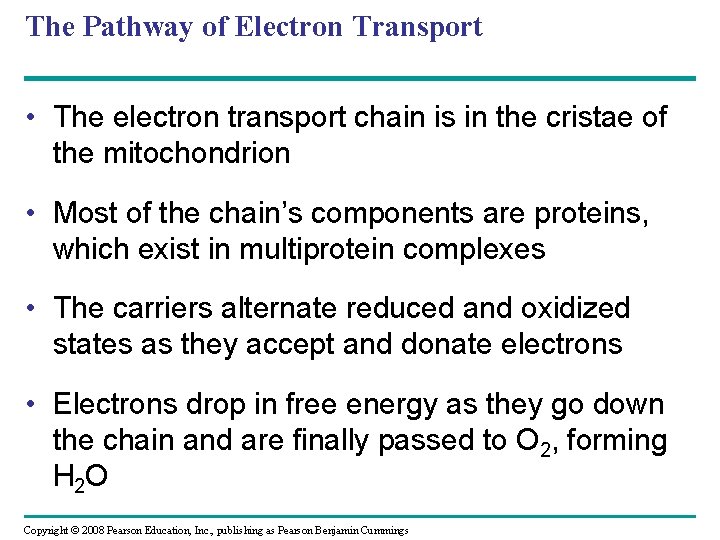 The Pathway of Electron Transport • The electron transport chain is in the cristae