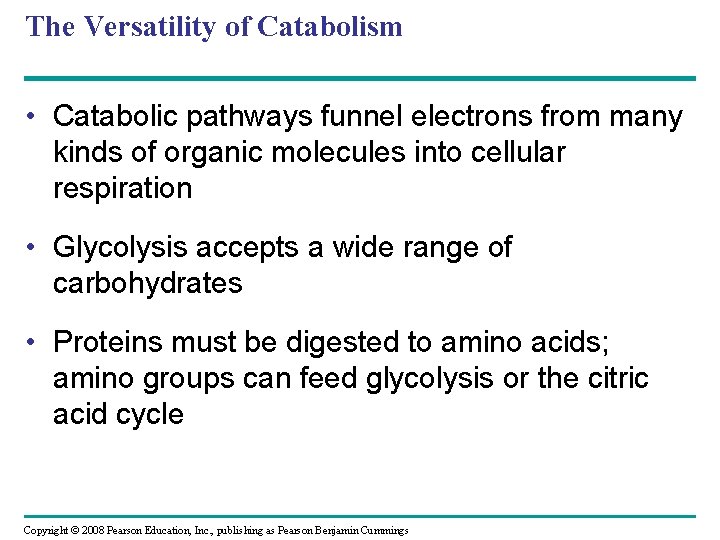 The Versatility of Catabolism • Catabolic pathways funnel electrons from many kinds of organic