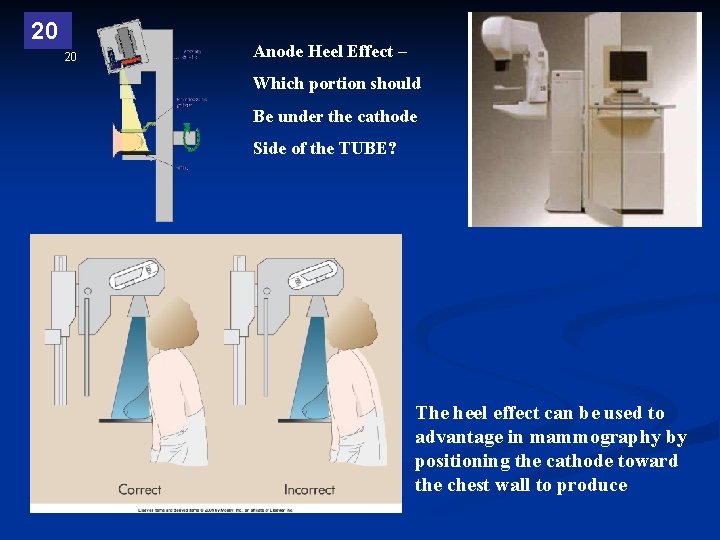 20 20 Anode Heel Effect – Which portion should Be under the cathode Side