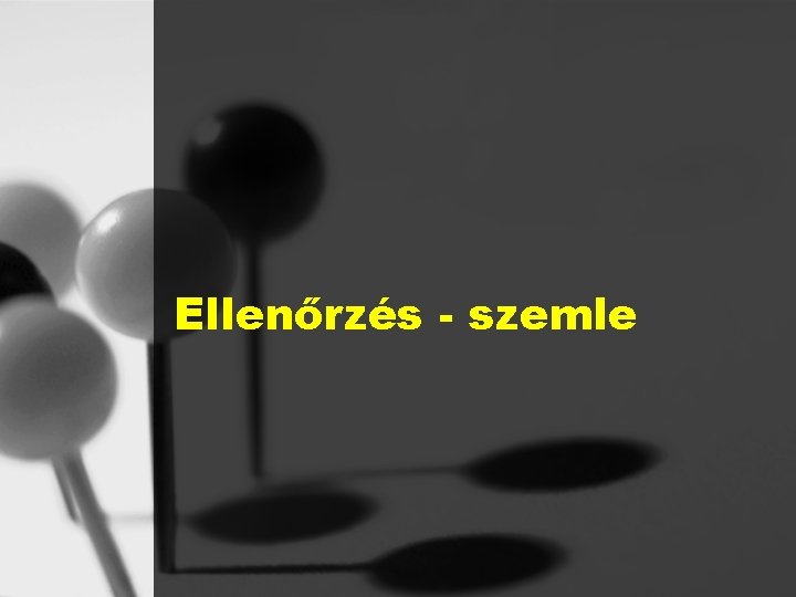 Ellenőrzés - szemle 