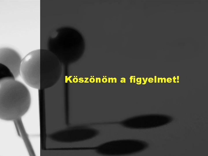 Köszönöm a figyelmet! 
