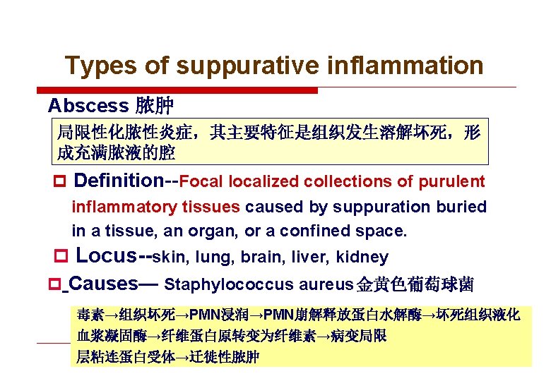 Types of suppurative inflammation Abscess 脓肿 局限性化脓性炎症，其主要特征是组织发生溶解坏死，形 成充满脓液的腔 p Definition--Focal localized collections of purulent