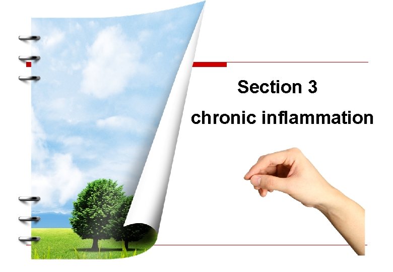 Section 3 chronic inflammation 