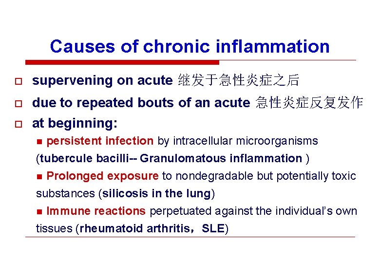 Causes of chronic inflammation o supervening on acute 继发于急性炎症之后 o due to repeated bouts