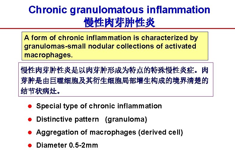 Chronic granulomatous inflammation 慢性肉芽肿性炎 A form of chronic inflammation is characterized by granulomas-small nodular