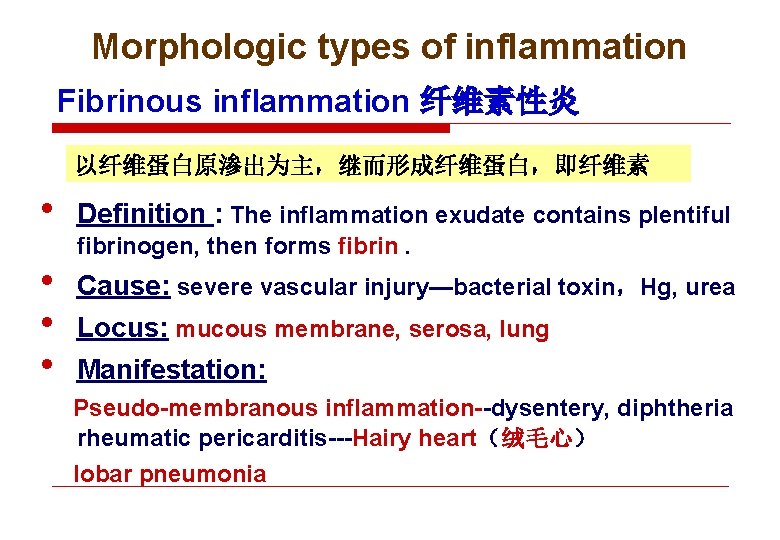 Morphologic types of inflammation Fibrinous inflammation 纤维素性炎 以纤维蛋白原渗出为主，继而形成纤维蛋白，即纤维素 • • Definition : The inflammation