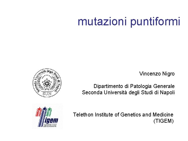 mutazioni puntiformi Vincenzo Nigro Dipartimento di Patologia Generale Seconda Università degli Studi di Napoli