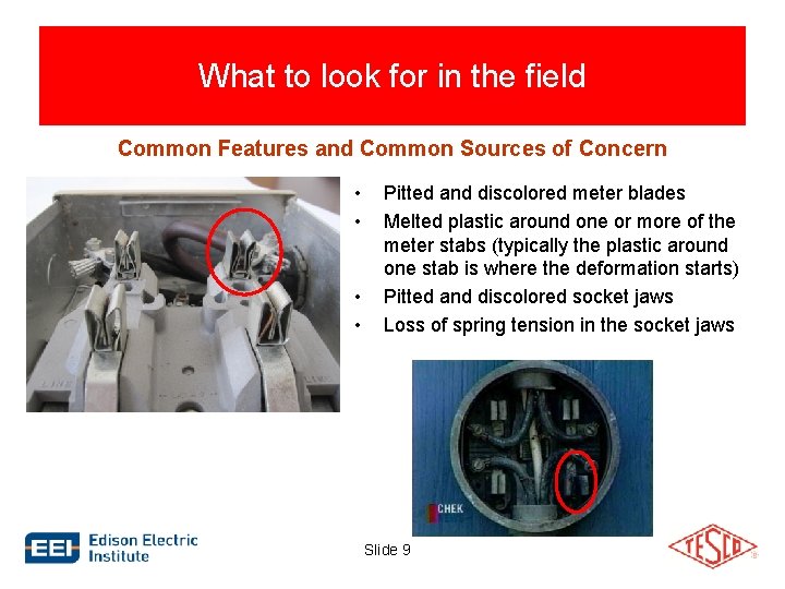 What to look for in the field Common Features and Common Sources of Concern