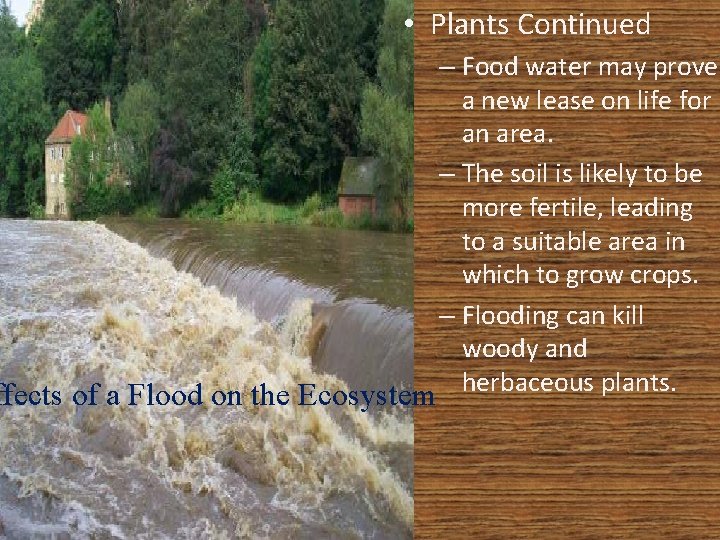  • Plants Continued – Food water may prove a new lease on life