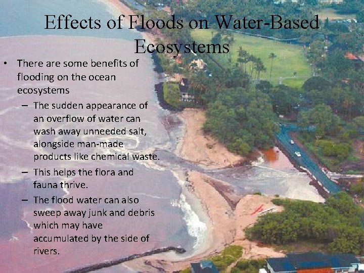 Effects of Floods on Water-Based Ecosystems • There are some benefits of flooding on