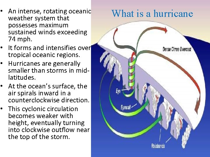  • An intense, rotating oceanic weather system that possesses maximum sustained winds exceeding