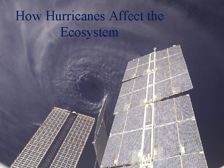 How Hurricanes Affect the Ecosystem 