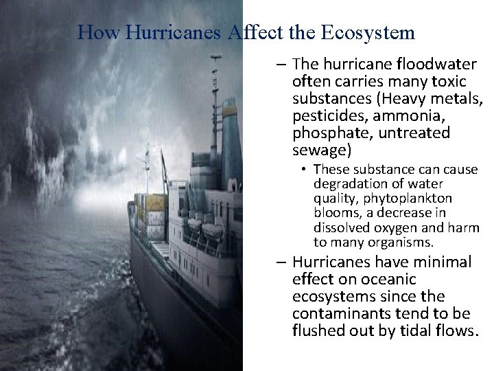 How Hurricanes Affect the Ecosystem – The hurricane floodwater often carries many toxic substances