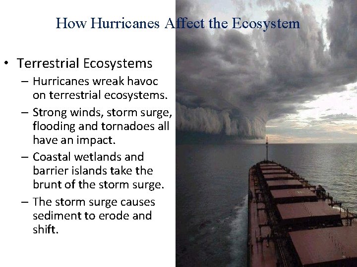 How Hurricanes Affect the Ecosystem • Terrestrial Ecosystems – Hurricanes wreak havoc on terrestrial