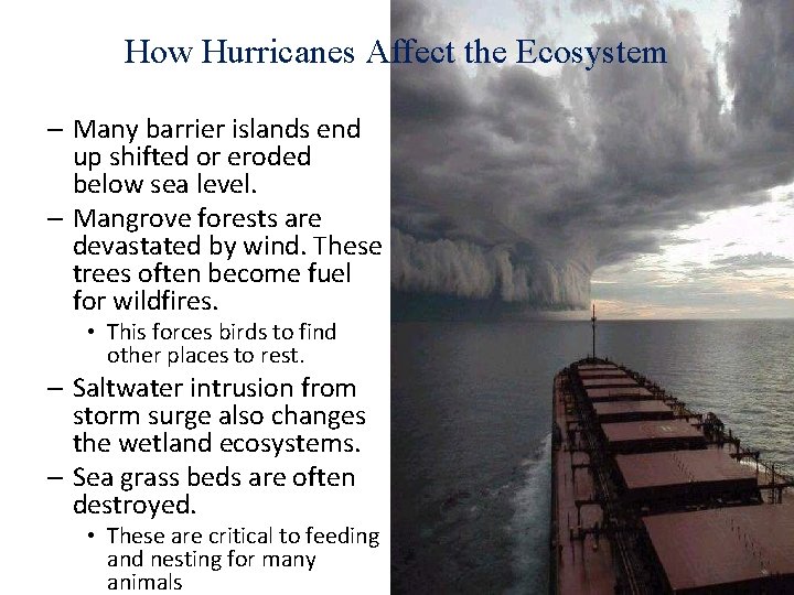 How Hurricanes Affect the Ecosystem – Many barrier islands end up shifted or eroded