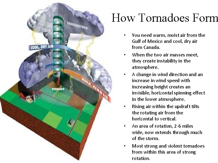 How Tornadoes Form • • • You need warm, moist air from the Gulf