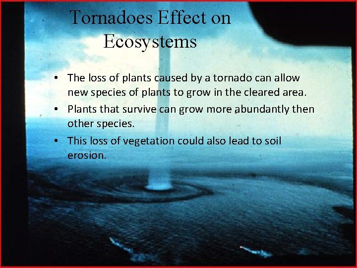 Tornadoes Effect on Ecosystems • The loss of plants caused by a tornado can