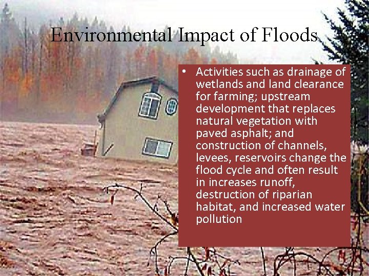 Environmental Impact of Floods • Activities such as drainage of wetlands and land clearance