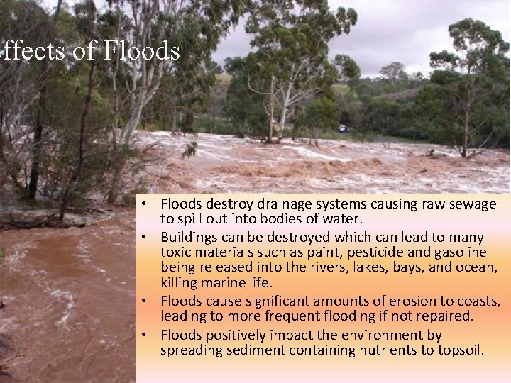 Effects of Floods • Floods destroy drainage systems causing raw sewage to spill out