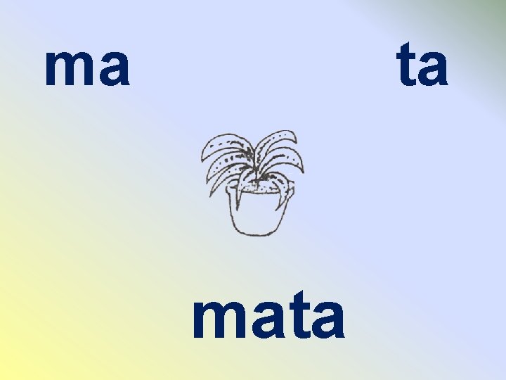 ma ta mata 