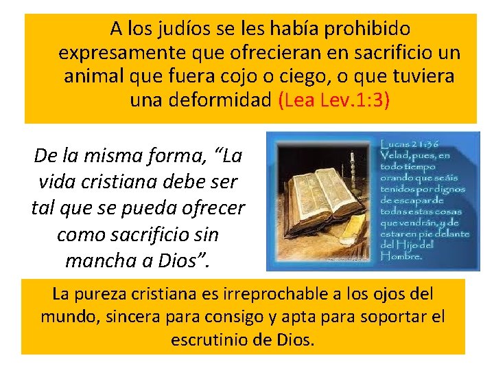 A los judíos se les había prohibido expresamente que ofrecieran en sacrificio un animal