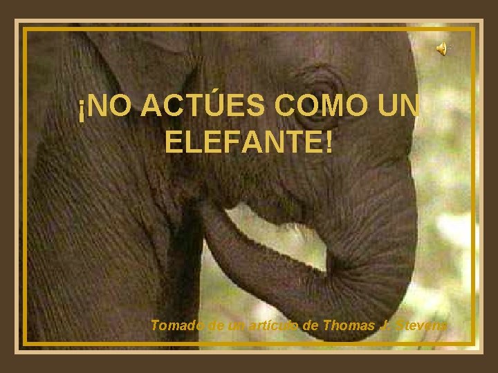 ¡NO ACTÚES COMO UN ELEFANTE! Tomado de un artículo de Thomas J. Stevens 