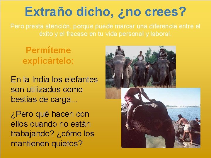 Extraño dicho, ¿no crees? Pero presta atención, porque puede marcar una diferencia entre el