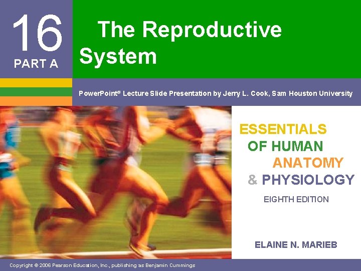 16 PART A The Reproductive System Power. Point® Lecture Slide Presentation by Jerry L.