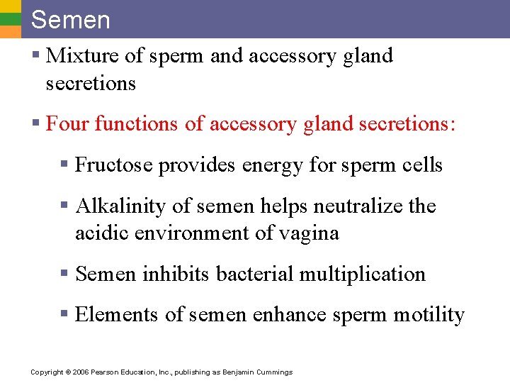 Semen § Mixture of sperm and accessory gland secretions § Four functions of accessory