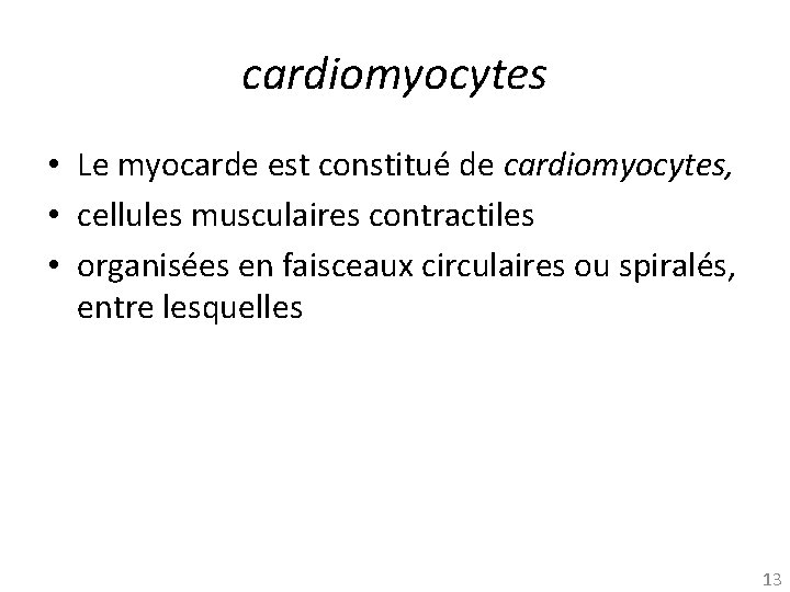 cardiomyocytes • Le myocarde est constitué de cardiomyocytes, • cellules musculaires contractiles • organisées