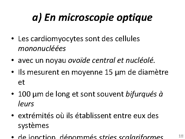 a) En microscopie optique • Les cardiomyocytes sont des cellules mononucléées • avec un