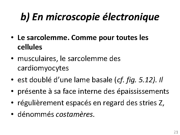 b) En microscopie électronique • Le sarcolemme. Comme pour toutes les cellules • musculaires,