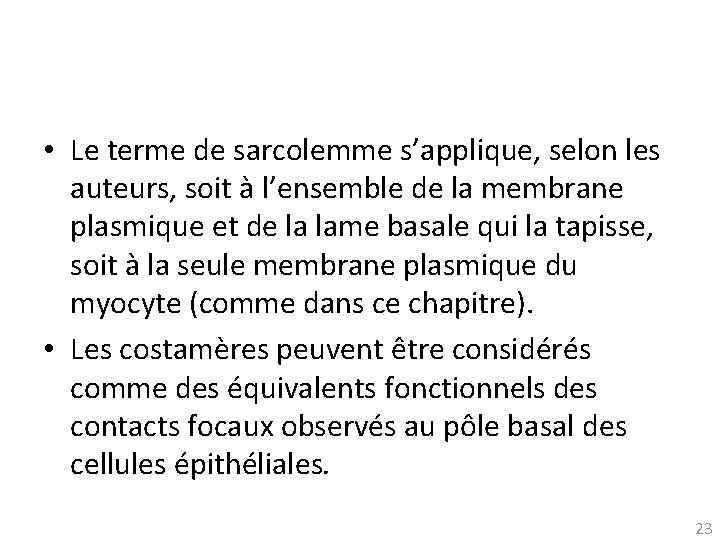  • Le terme de sarcolemme s’applique, selon les auteurs, soit à l’ensemble de