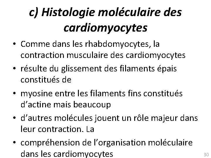 c) Histologie moléculaire des cardiomyocytes • Comme dans les rhabdomyocytes, la contraction musculaire des