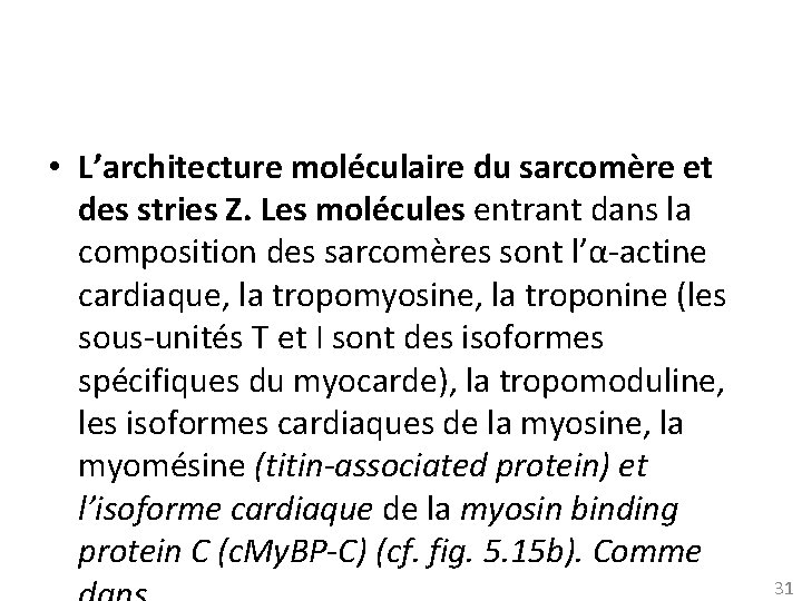  • L’architecture moléculaire du sarcomère et des stries Z. Les molécules entrant dans