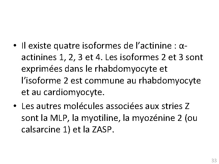  • Il existe quatre isoformes de l’actinine : αactinines 1, 2, 3 et