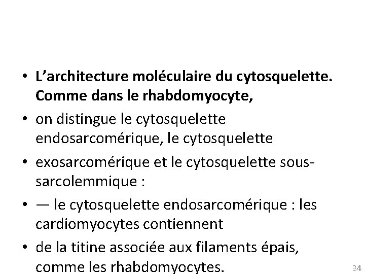  • L’architecture moléculaire du cytosquelette. Comme dans le rhabdomyocyte, • on distingue le