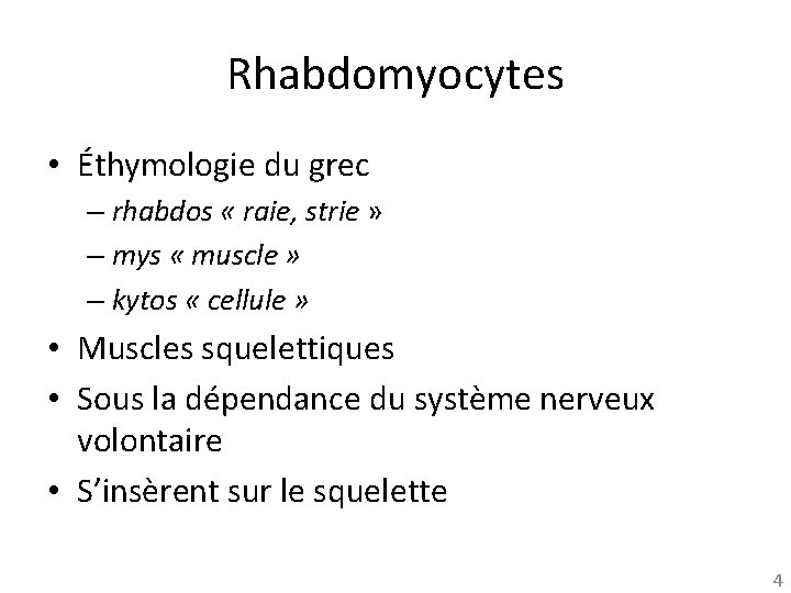 Rhabdomyocytes • Éthymologie du grec – rhabdos « raie, strie » – mys «