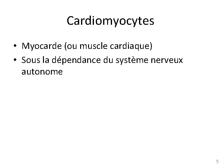 Cardiomyocytes • Myocarde (ou muscle cardiaque) • Sous la dépendance du système nerveux autonome