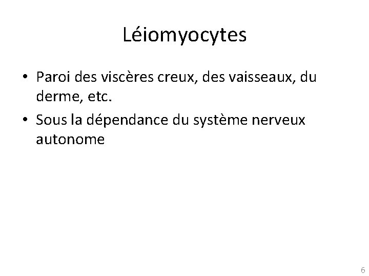 Léiomyocytes • Paroi des viscères creux, des vaisseaux, du derme, etc. • Sous la