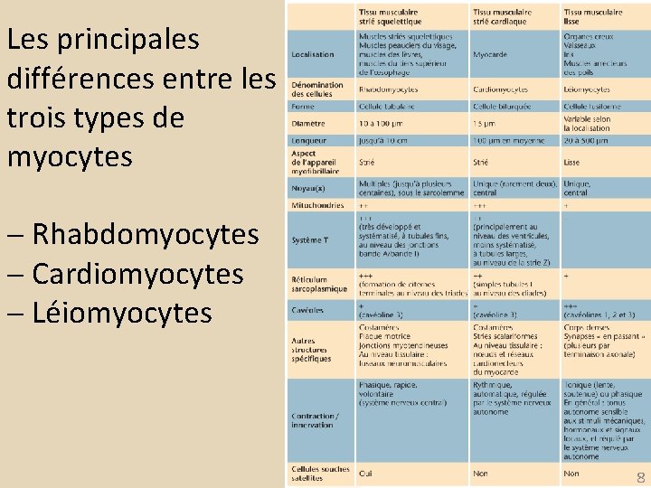 Les principales différences entre les trois types de myocytes Rhabdomyocytes Cardiomyocytes Léiomyocytes 8 